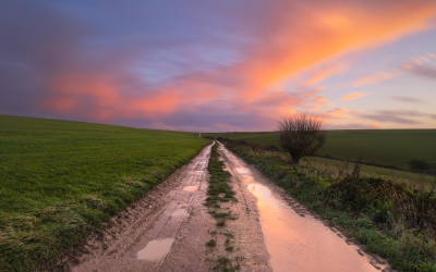 dorset-gallery-moretti-20