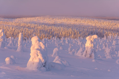 Finlandia-Gennaio-fotocorsi-22