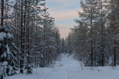 Finlandia-Gennaio-fotocorsi-6