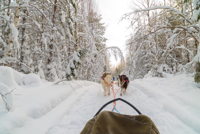 Finlandia-Gennaio-fotocorsi-7