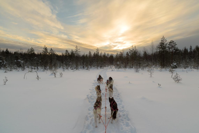 Finlandia-Gennaio-fotocorsi-9