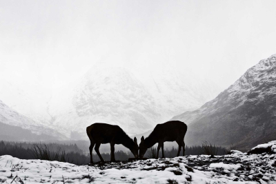 scozia-glencoe-4