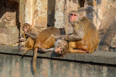viaggio-fotografico-india-fotocorsi-paolo-32