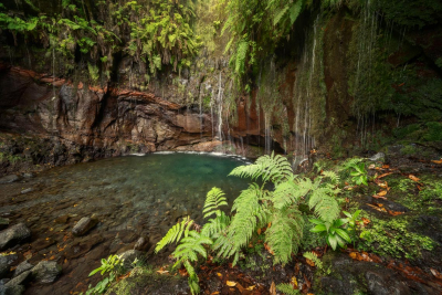 Madeira-viaggio-fotografico-puntoviaggio-15