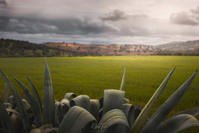 raffaele-toniolo-portfolio-16