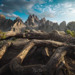 raffaele-toniolo-portfolio-3